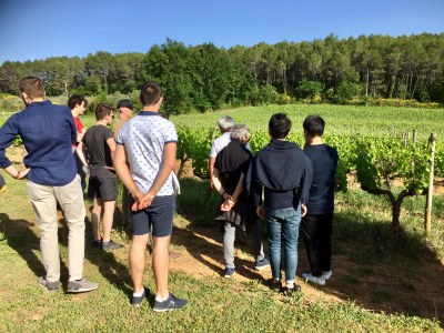 2019 Clarinette Pascal Moragues InesArede 7