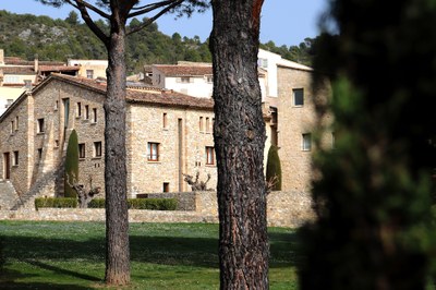 2021 credit Camille Roux