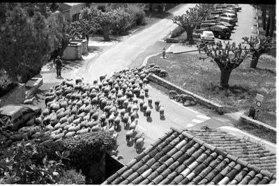 2011 Clavecin Ilton Wjuniski  Pierre Verbeek 15